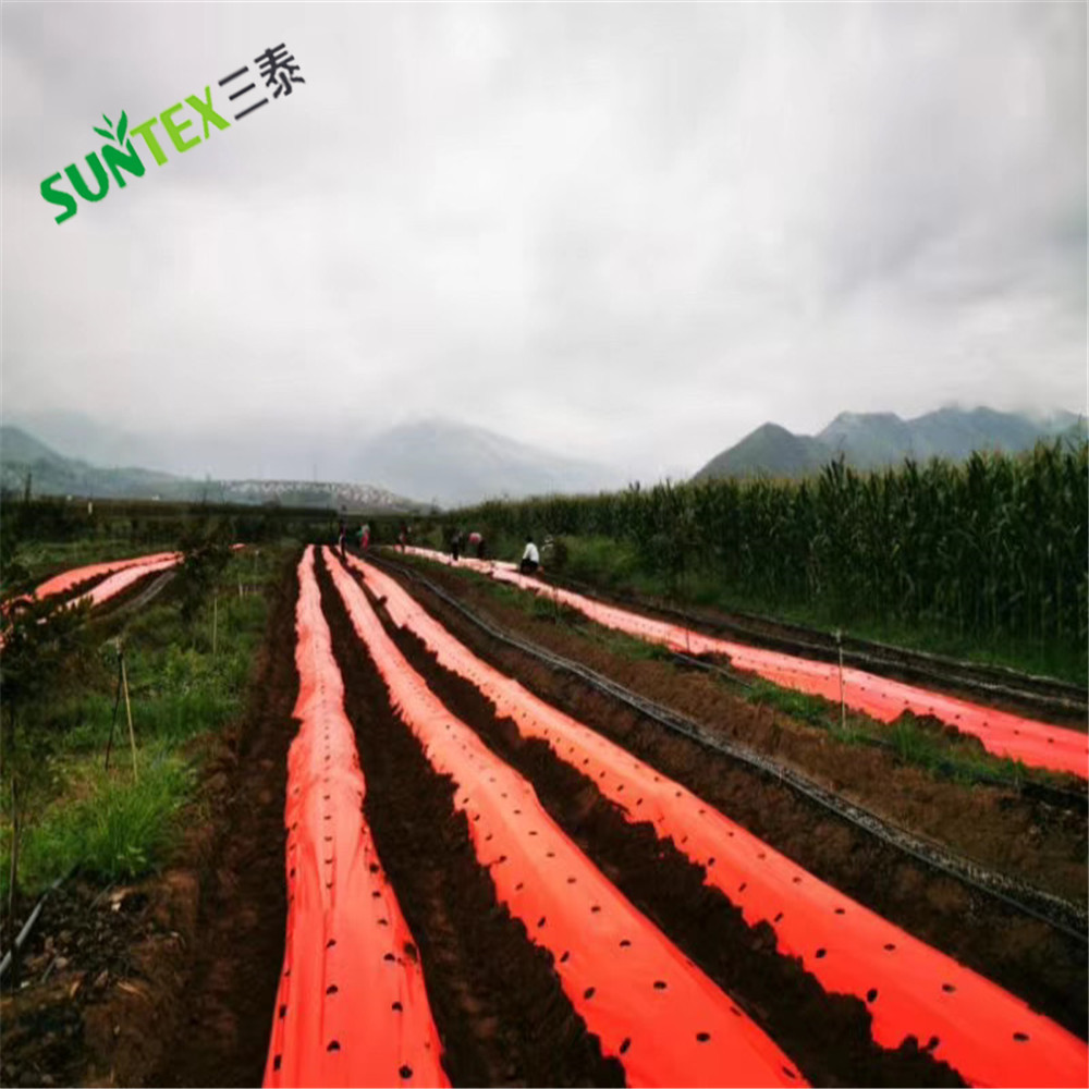 25 micron ldpe UV Stabilized  waterproof Mulch Film 1.8*500m, Red agricultural Mulching Film Sheets