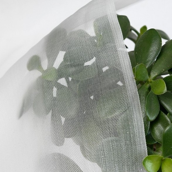 New HDPE with uv Agricultural Insect Net 80 mesh Clear Mesh Netting Insect Screen for Garden Greenhouse