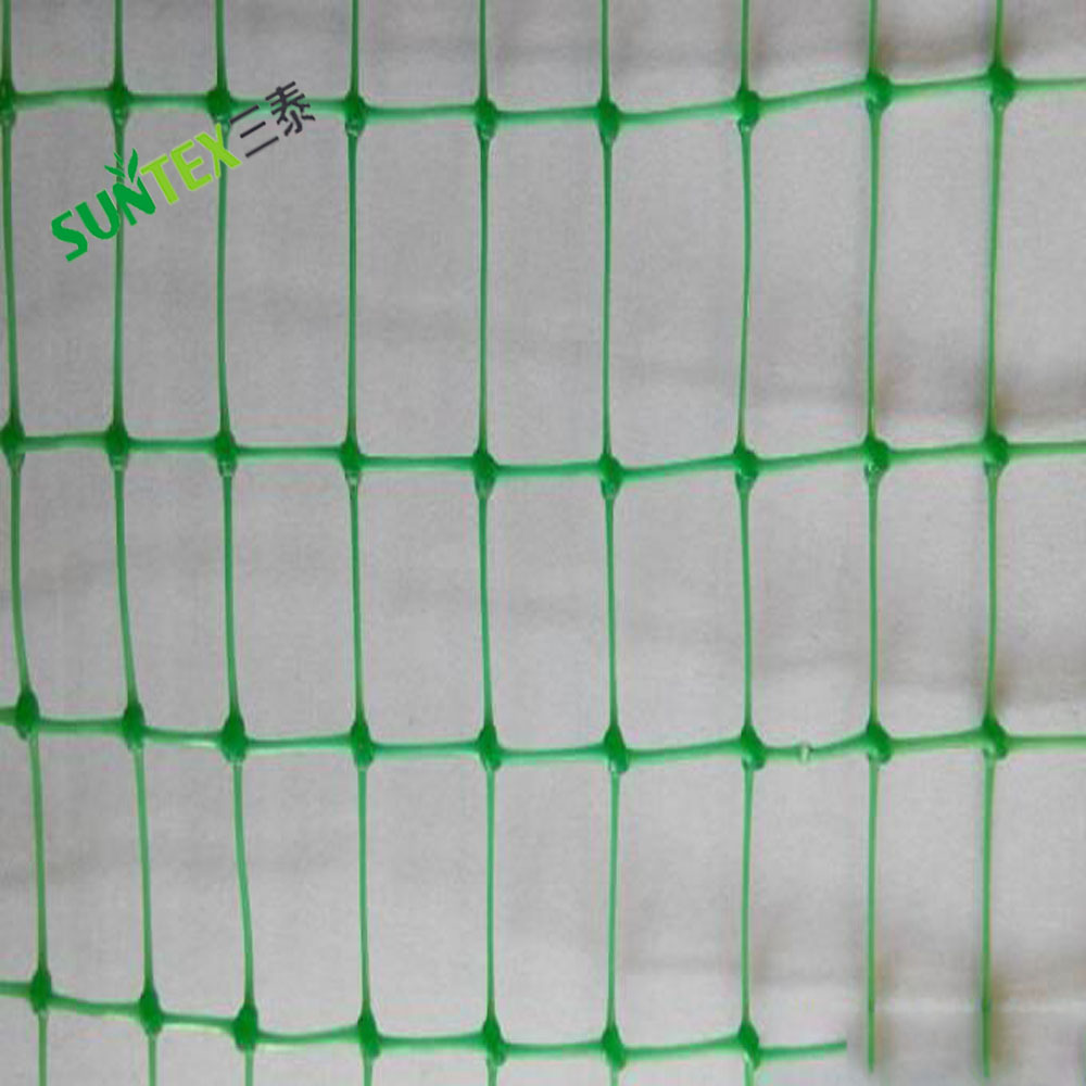 Green PP Extruded Anti Bird Netting Plastic Extruded Catching Bird Net Orchards Protection Bird Proof Net