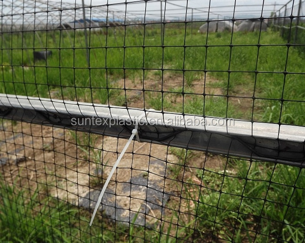 100% original HDPE pp garden ground fence Crop protection anti bird net fruit tree netting