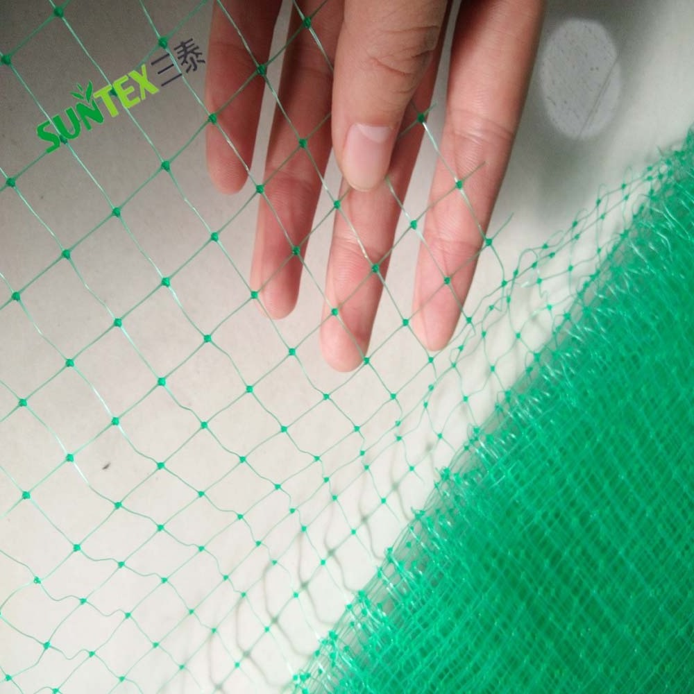 Green PP Extruded Anti Bird Netting Plastic Extruded Catching Bird Net Orchards Protection Bird Proof Net