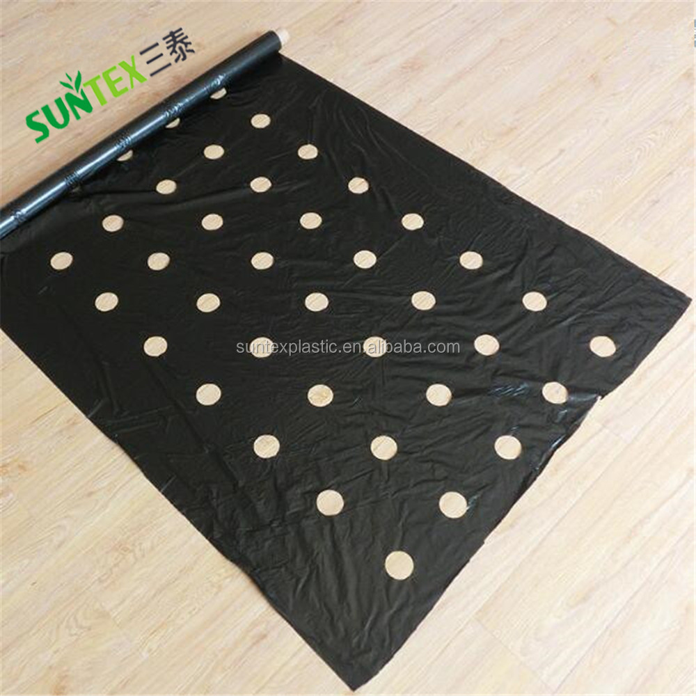 agricultural anti weed mulch/ldpe garden mulch mat for weed control