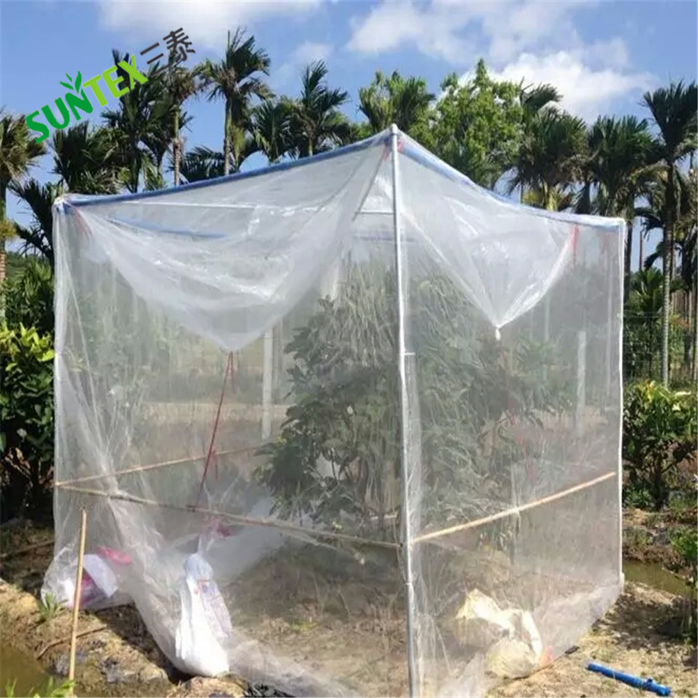 exclusion netting for insect pest control and fruit quality enhancement in tree crops