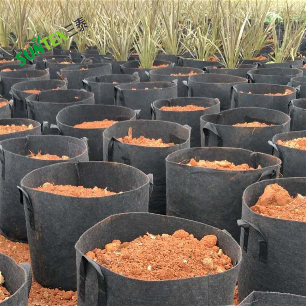 5 Gallon Vegetables Potato Grow Bags, Nonwoven Fabric Plant Flower Growing Pots with Handles