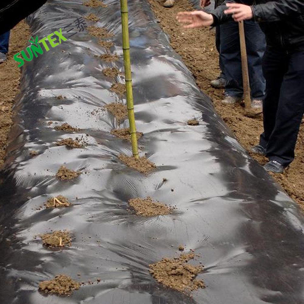 Chinese factory directly sale biodegradable and compostable polyethylene sheet/keep soil moisture plastic mulch film for tomato