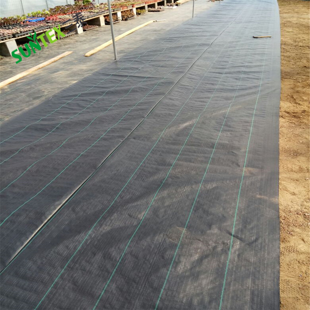 Agriculture use ground cover waterproof, great quality ground cover tarp /polypropylene for greenhouse