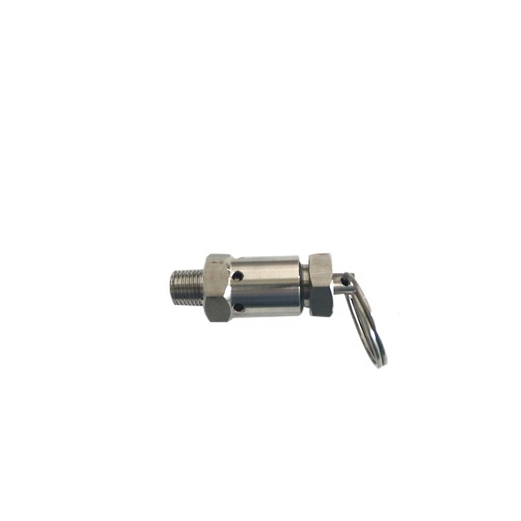 SS304 Mini NPT 1/4