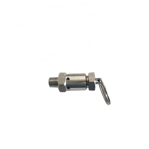 SS304 Mini NPT 1/4" Adjustable Pressure Relief Valve with Hand Pull