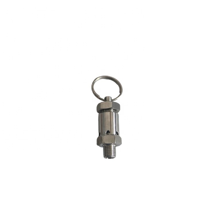 SS304 Mini NPT 1/4