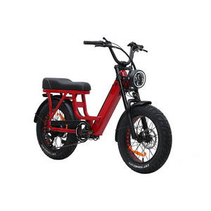 Hot selling off road electric fat e tire 73 bike fatbike 250w 750w 1000w 48v lithium battery ebike super73