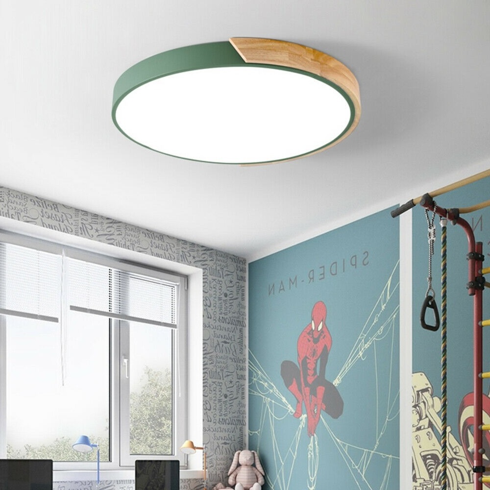 Modern LED Round Drum Shaped Green Ceiling Light Bedroom Kitchen Flushmount Lamp