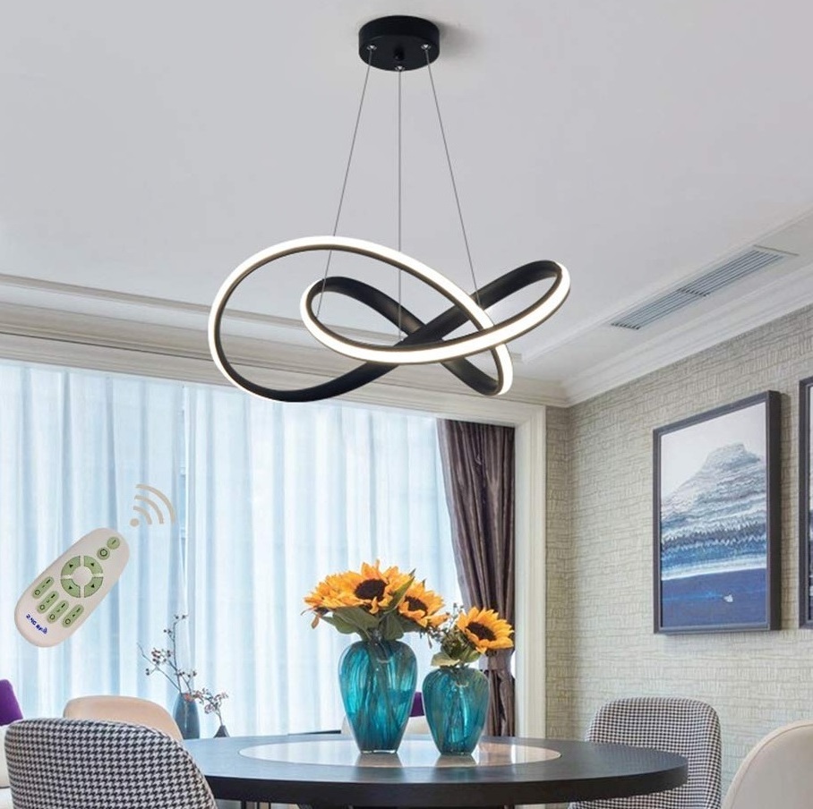 Modern Chic LED Ring Chandelier Ceiling Pendant Light Hung Light Painting Lamp Fixture for Living Room Bedroom Dinning Room