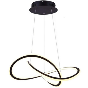 Modern Chic LED Ring Chandelier Ceiling Pendant Light Hung Light Painting Lamp Fixture for Living Room Bedroom Dinning Room