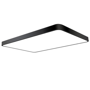 Shinetime Contemporary Black White Ceiling Lights Ultra Slim 5CM LED Light