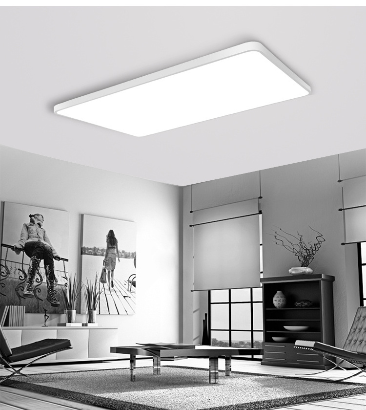 Shinetime Contemporary Black White Ceiling Lights Ultra Slim 5CM LED Light