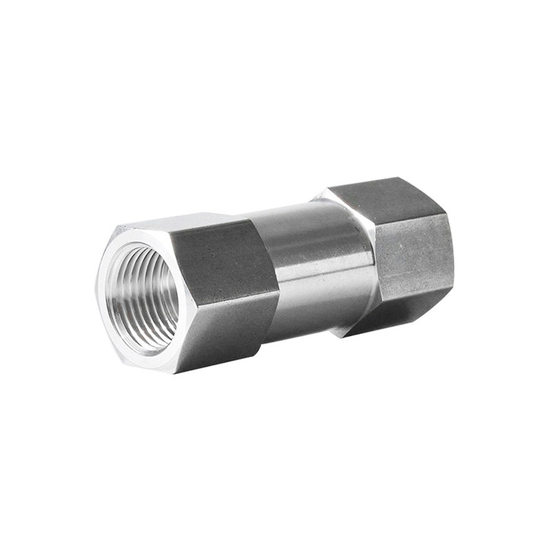 Stainless Steel Check Valve 1/4'' 3/8'' 1/2'' NPT BSP Female Non Return Valve