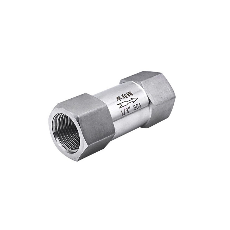 Stainless Steel Check Valve 1/4'' 3/8'' 1/2'' NPT BSP Female Non Return Valve