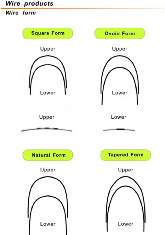 Orthodontic Archwires dentist usage Stainless steel Niti Ovoid Natural and Square Archwire