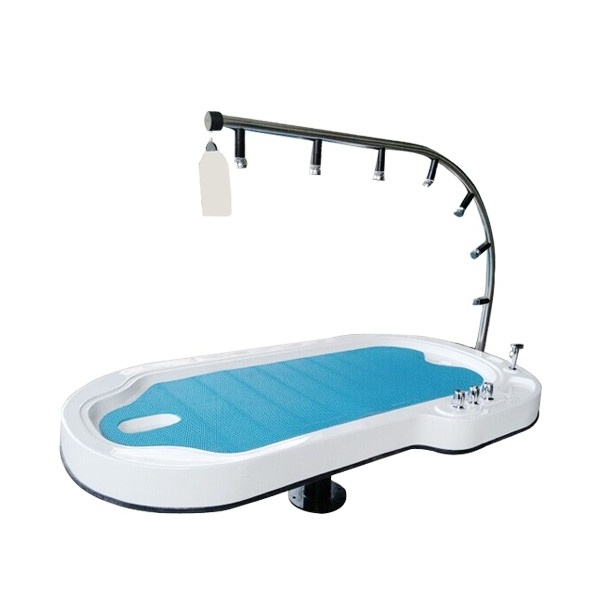 Home Use Massage Equipment Shower Capsule Bed Spa Hydro Whole Body Massage Bed For Sale