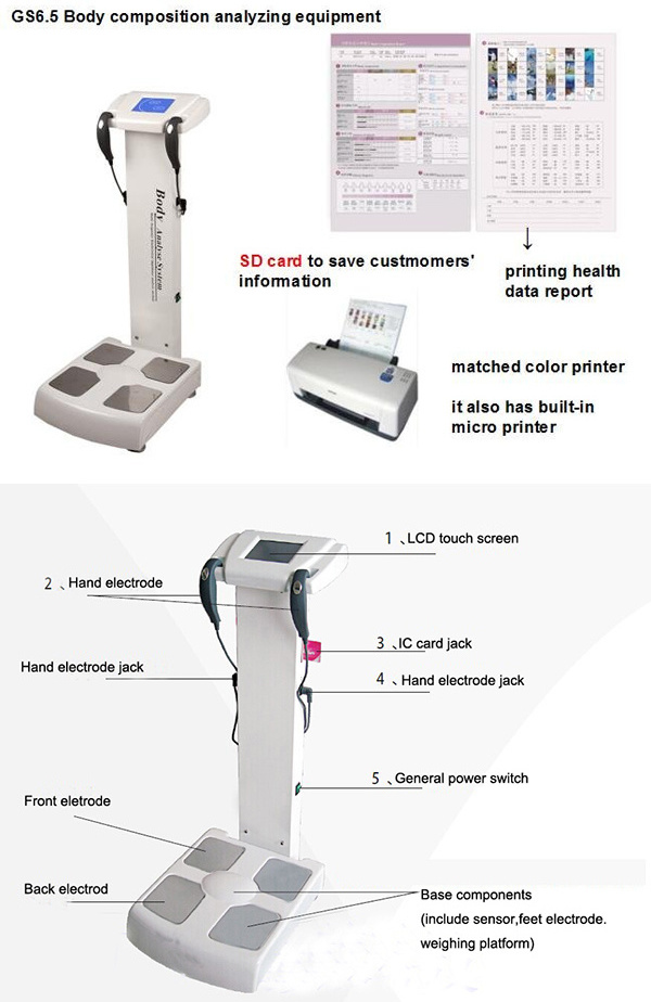 Multi-frequency 3D Full Body Fat Composition Analyzer Digital Body Weight Scales Health Machine Price