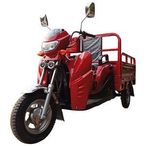 Luoyang SUNYN import cheap new adult 3 Wheel 150cc automatic cargo gas scooter/three wheel tricycle