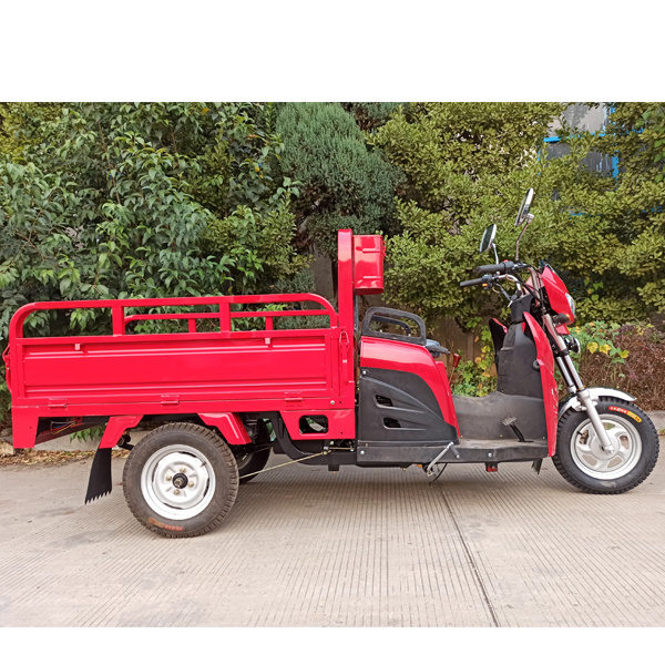 Luoyang SUNYN import cheap new adult 3 Wheel 150cc automatic cargo gas scooter/three wheel tricycle