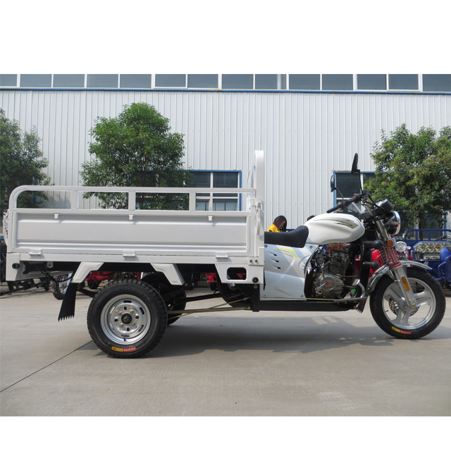 150cc Farming Cargo 3 Wheeler Scooter Gasoline Motor Trike