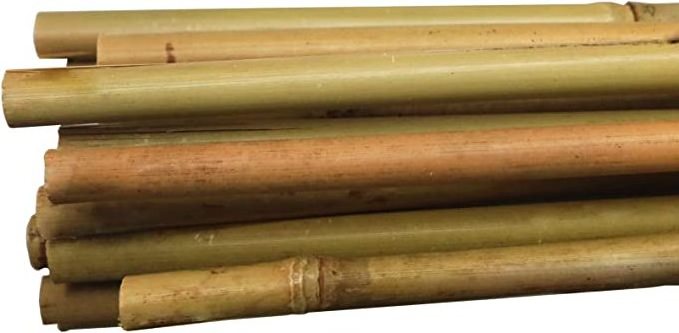 Bamboo Canes Bamboo Poles for Nursery Garden Horticulture Plantation