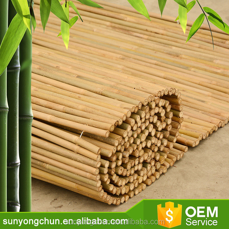 natural rolled up all new bamboo fence for privacy in garden