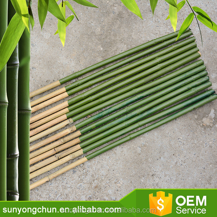 Cheap Agriculture PVC Coated Cane natural thailand straighten spotted wholesale solid raw and Color Bamboo pole of agriculture