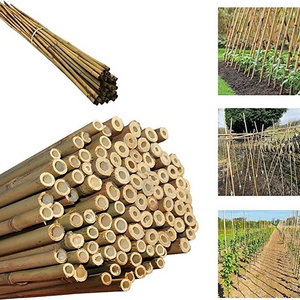 Bamboo Canes Bamboo Poles for Nursery Garden Horticulture Plantation