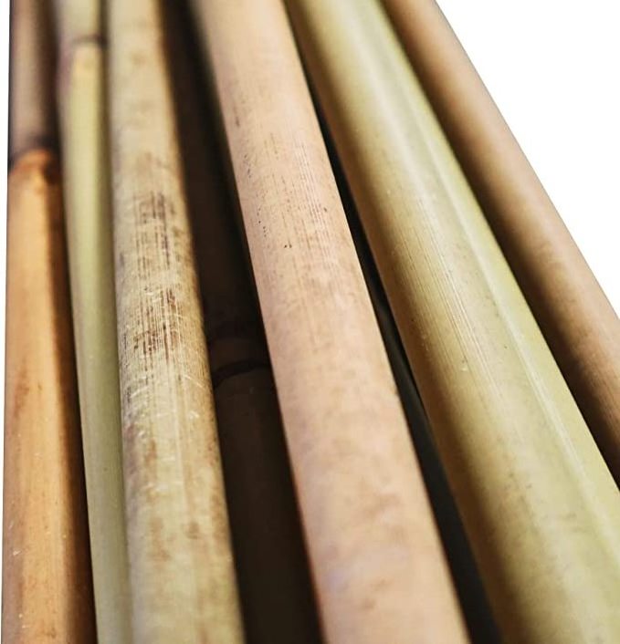 Smooth Bambou   Bamboo Canes Bamboo Poles for Nursery Garden Horticulture Plantation