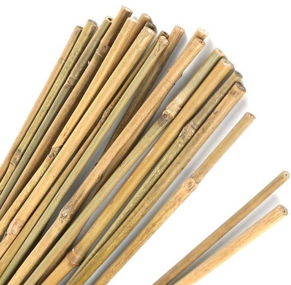 Clean Smooth Bamboo Stake Support Canes Poles for Nursery Garden Horticulture Plantation