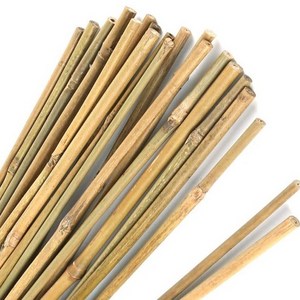 Clean Smooth Bamboo Stake Support Canes Poles for Nursery Garden Horticulture Plantation