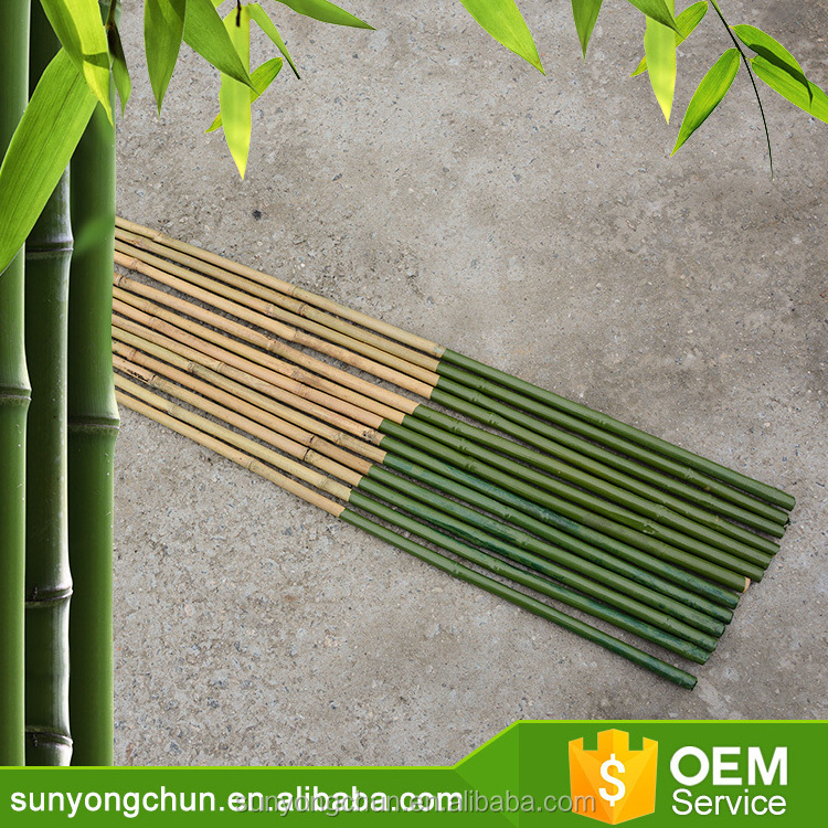 Cheap Agriculture PVC Coated Cane natural thailand straighten spotted wholesale solid raw and Color Bamboo pole of agriculture