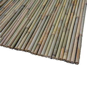 Wholesale Large Dry Bamboo Poles for Nursery Garden