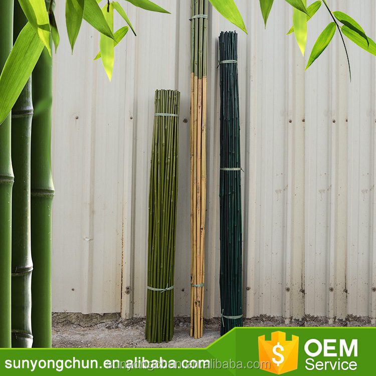 Cheap Agriculture PVC Coated Cane natural thailand straighten spotted wholesale solid raw and Color Bamboo pole of agriculture