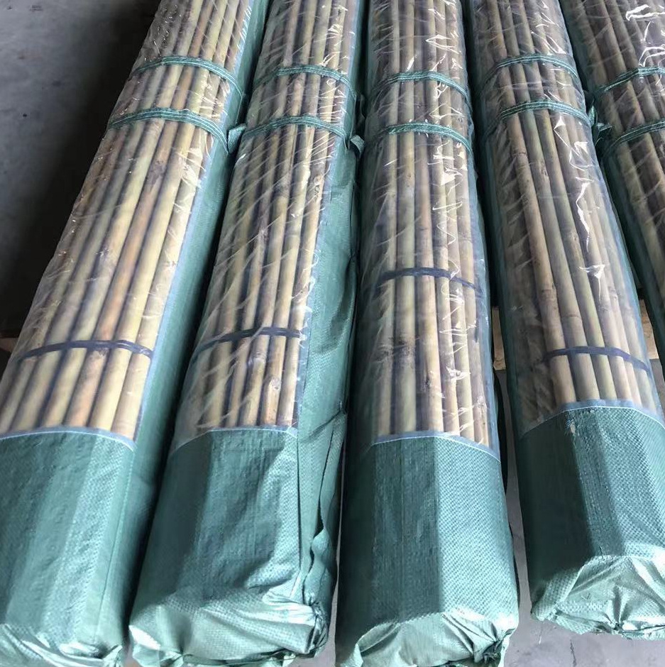 Clean Smooth Bamboo Canes Bamboo Poles for Nursery Garden Horticulture Plantation