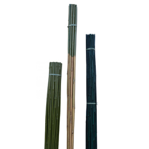 Cheap Agriculture PVC Coated Cane natural thailand straighten spotted wholesale solid raw and Color Bamboo pole of agriculture