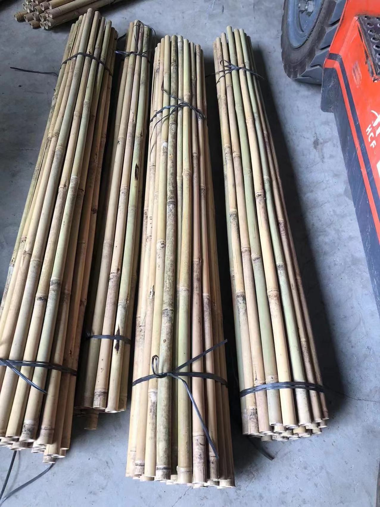 Clean Smooth Bamboo Canes Bamboo Poles for Nursery Garden Horticulture Plantation