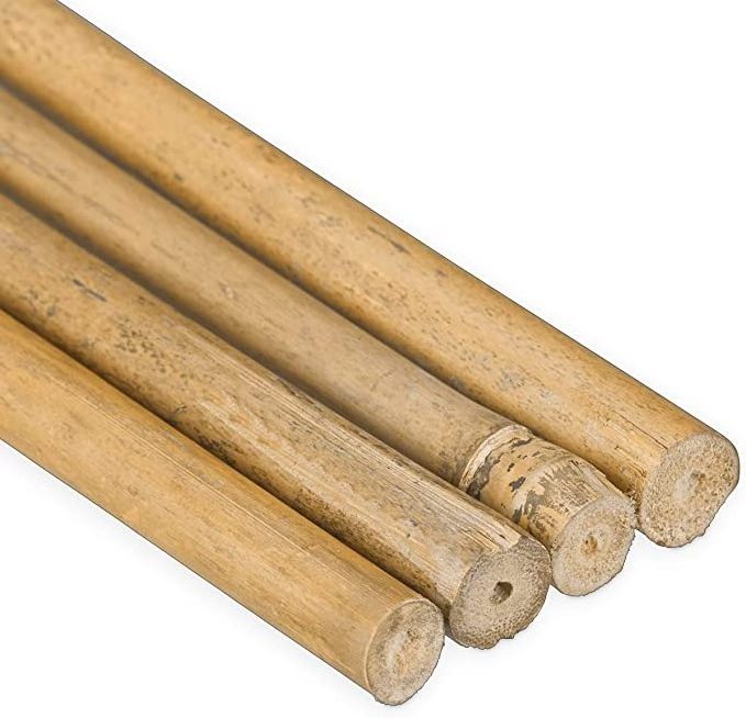 Smooth Bambou   Bamboo Canes Bamboo Poles for Nursery Garden Horticulture Plantation