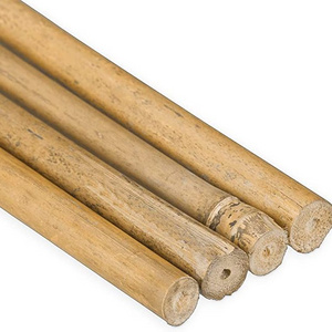 Smooth Bambou   Bamboo Canes Bamboo Poles for Nursery Garden Horticulture Plantation