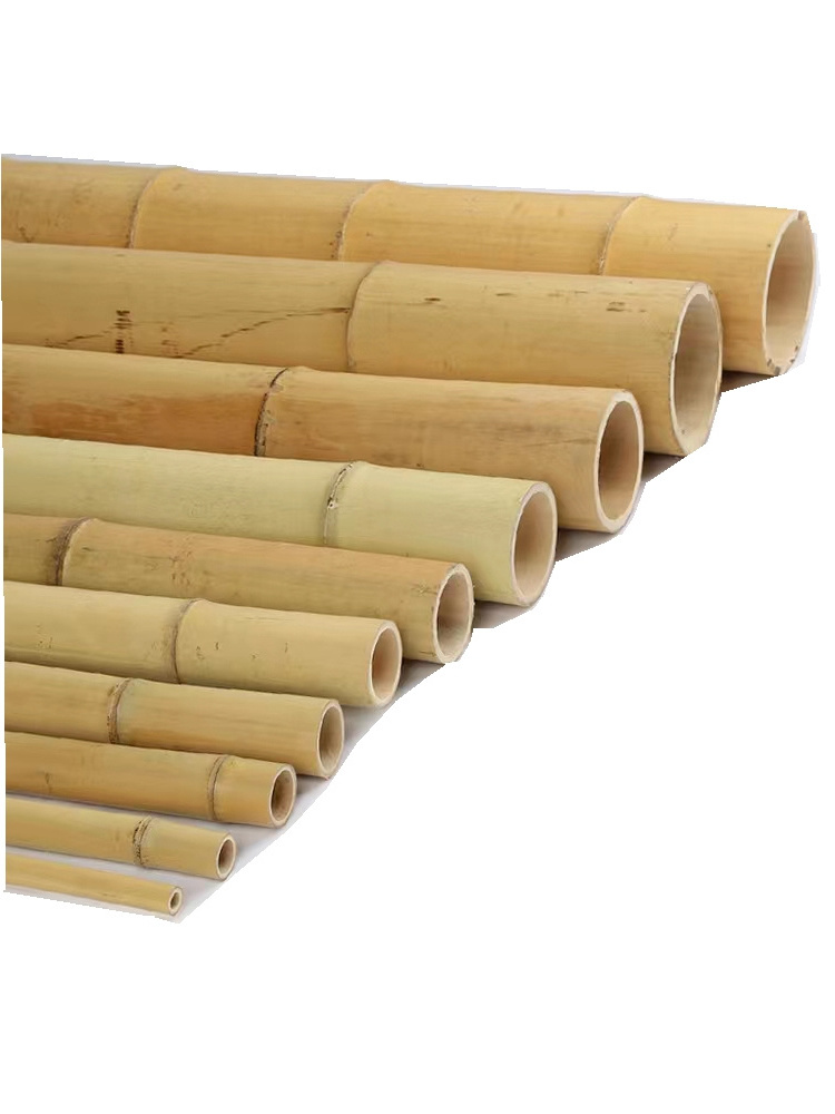 Clean Smooth Bamboo Canes Bamboo Poles for Nursery Garden Horticulture Plantation