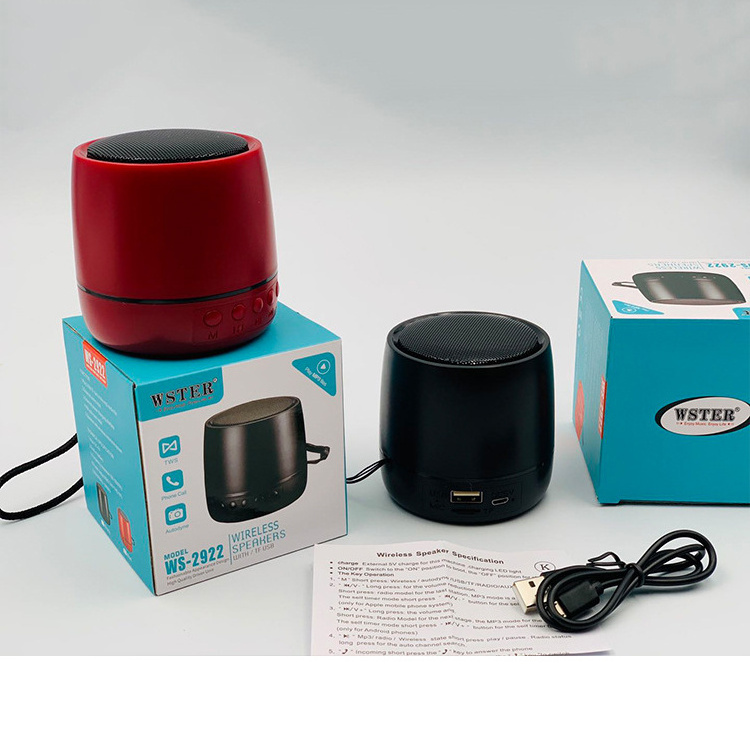 5W Promotional Gift WS2922  Outdoor Home Wireless Microphone  Portable Music Box Mini Blue Tooth Karaoke Speakers