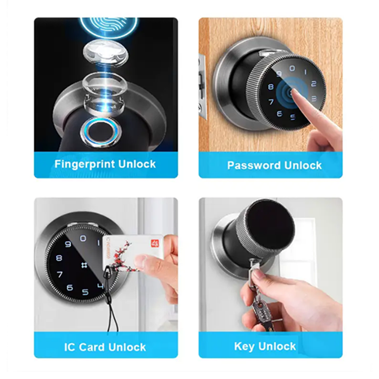 SUOBOOT Y1 Bluetooth Smart Knob Door Lock Ttlock Digital Smart Fingerprint Biometric Spherical Lock Zinc Alloy Padlock Bluetooth