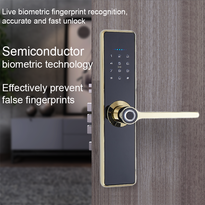 Suoboot Top selling Home Apartment Intelligent Fingerprint Password Tuya wifi App Smart Door Lock Electron Door Lock Handle