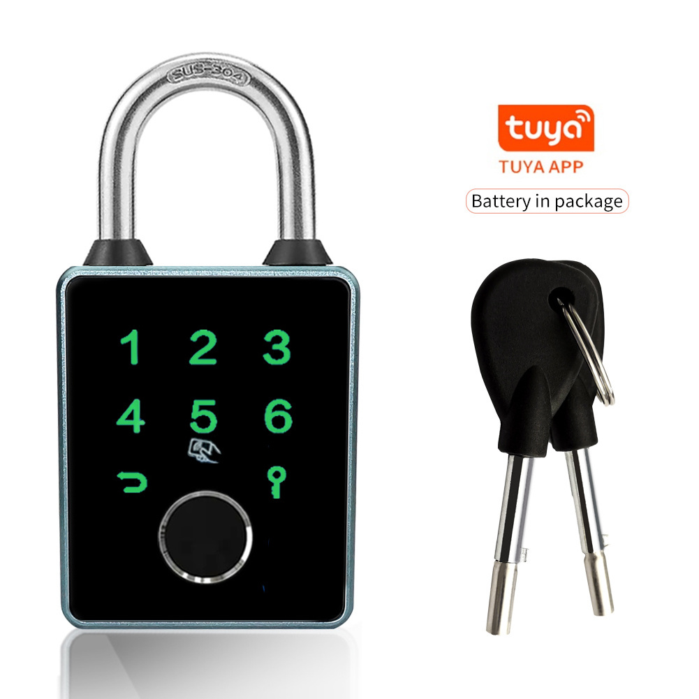 Fingerprint Password Padlock Key Waterproof Anti-Theft Padlock Intelligent Safety Electronic Padlock