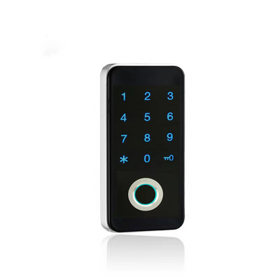 High-end Smart Cabinet locks Electronic Smart RFID Card Cabinet Locker Lock Gym Drawer Lock