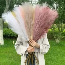 High Quality Shop Art Gallery Decoration 100cm 39 Inch Pink White Beige Artificial Faux Pampas Grass