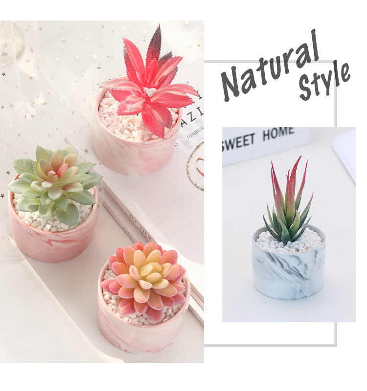 Mini Succulent Plants Artificial Decoration Plants Potted Succulents Plastic Grass